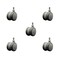 Service Caster 2'' Gray Floor Safe Twin Wheel Casters 3/8 Threaded Stem, 5PK SCC-TS02S50-TPR-GRY-381634-5 - alternate 1